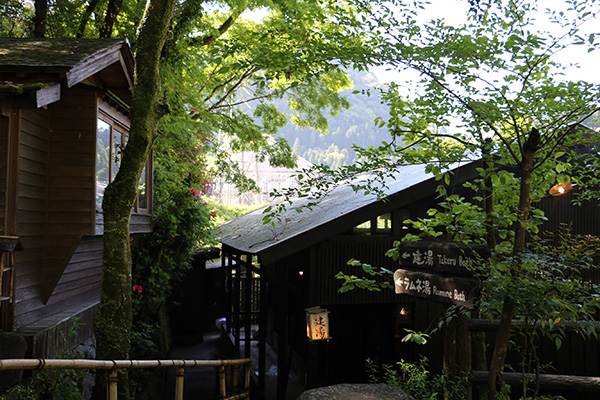 忘れの里 雅叙苑・天空の森・湯治の宿 田島本館