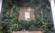 Shop＆Gallery SOMETHING